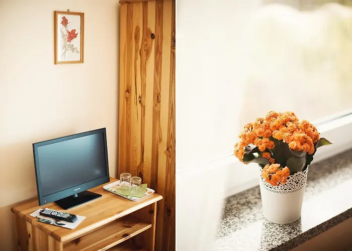 Moya Ameryka W Dolinie Baryczy 3*